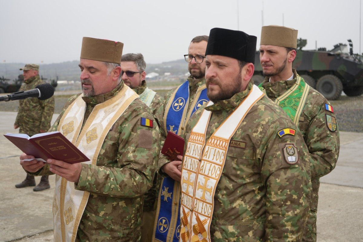 Ziua Armei Infanterie în poligonul Cincu 328243