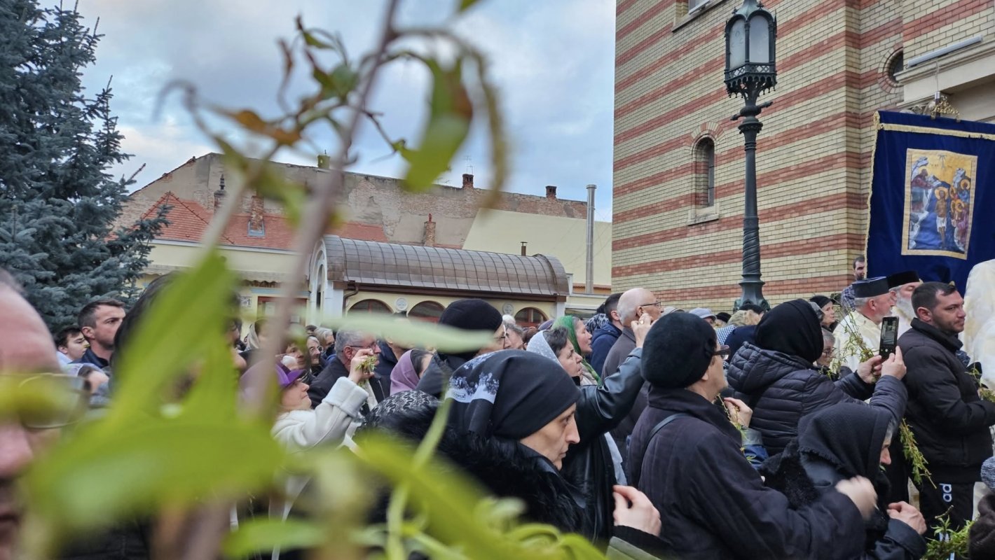 Sâmbăta Floriilor la Catedrala Mitropolitană din Sibiu 328554