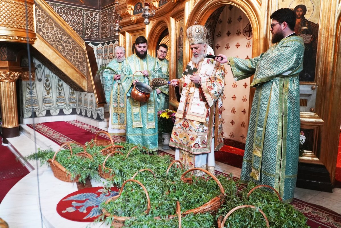 Pelerinajul de Florii și slujiri arhierești în Mitropolia Munteniei și Dobrogei 328700