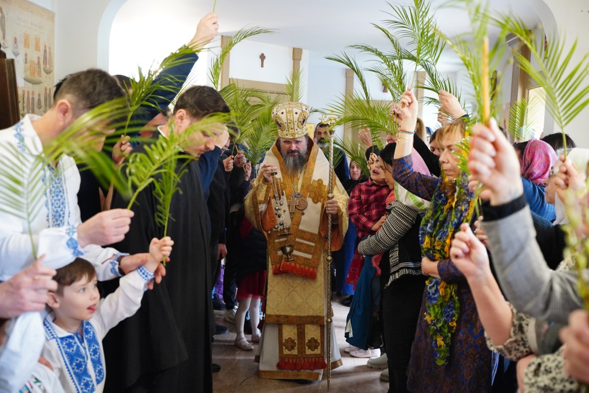 Floriile în regatele Suediei și Danemarcei 328749