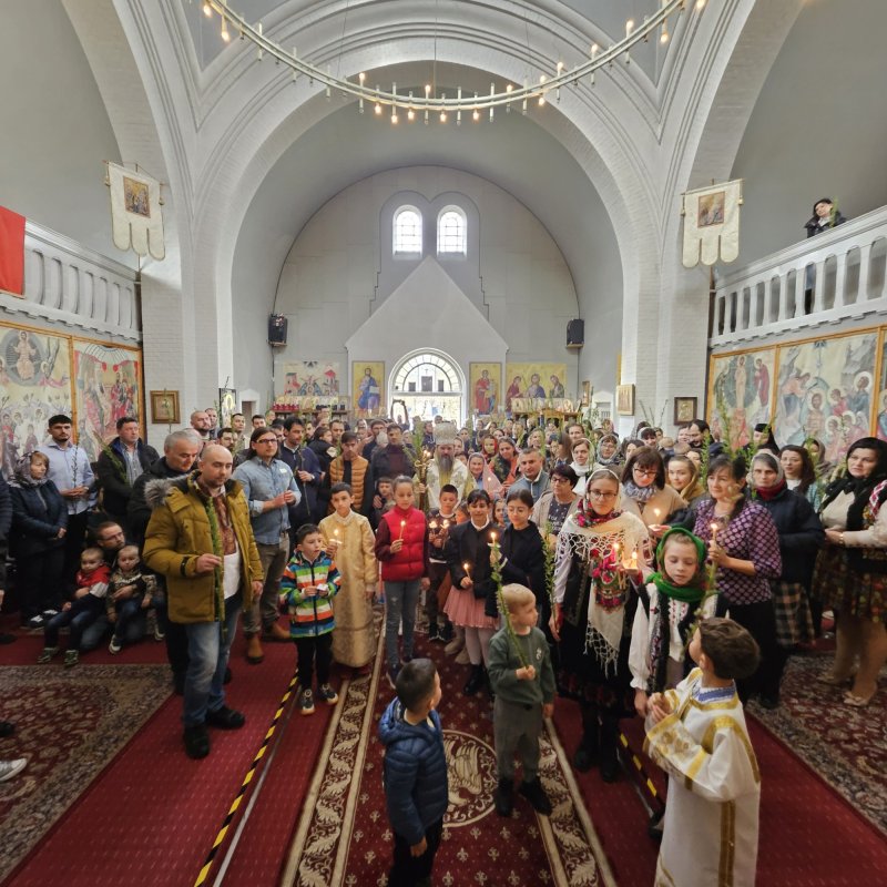 Floriile în regatele Suediei și Danemarcei 328750