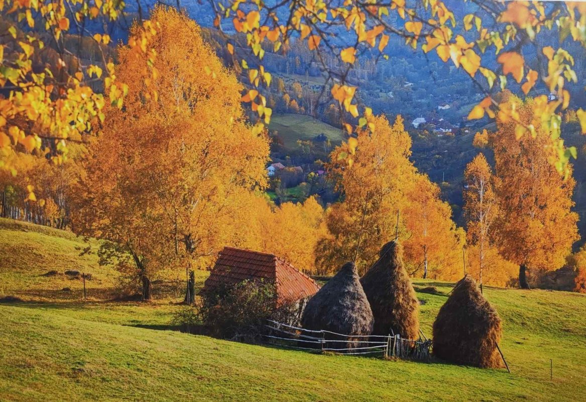 Ținutul Momârlanilor în imagini 328729