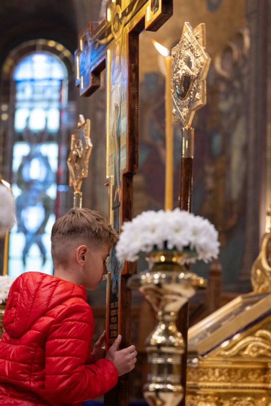 Slăvirea îndelung‑răbdării lui Dumnezeu la Denia celor 12 Evanghelii 329153