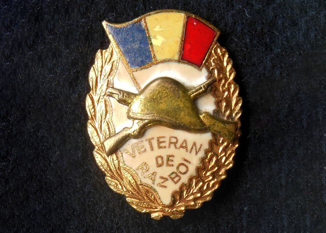 Activităţi în onoarea veteranilor de război 329643