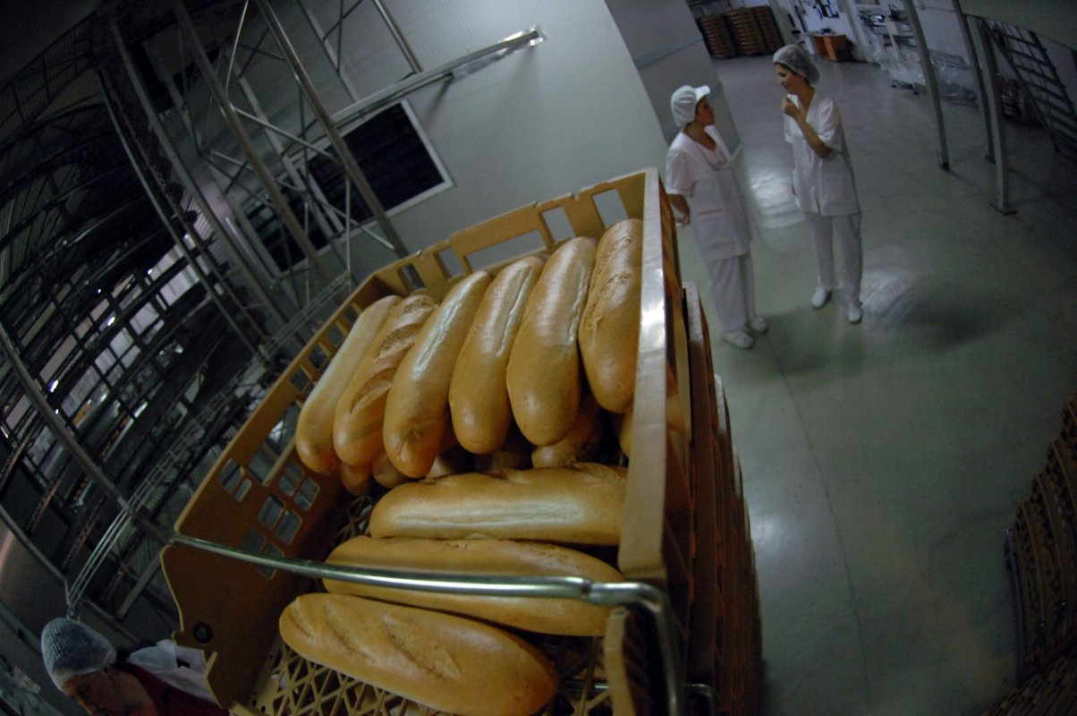 Investiții în fabrici de pâine 329732