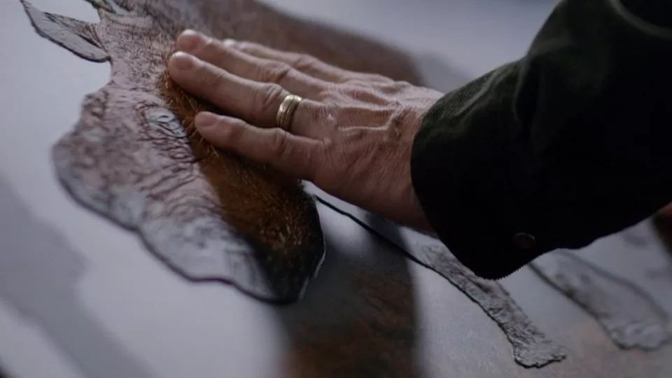 Expoziție de fotografie multisenzorială 329948