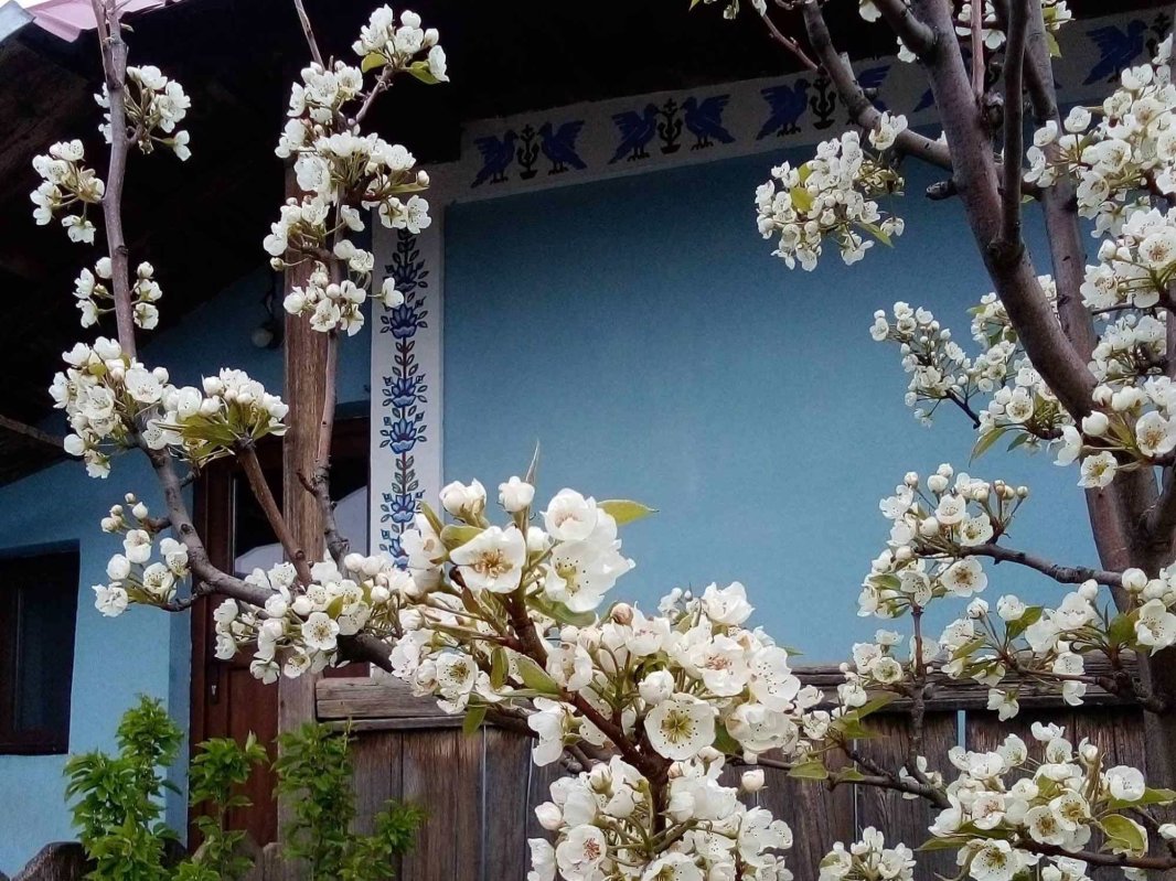 Icoana casei, o „zestre” care leagă generaţii 330119