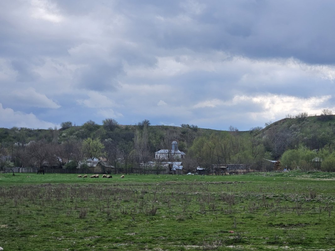 Medicul fără program 329828