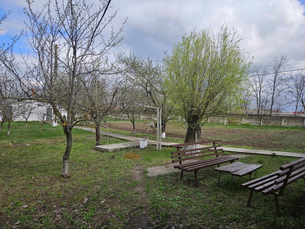 Medicul fără program 329830