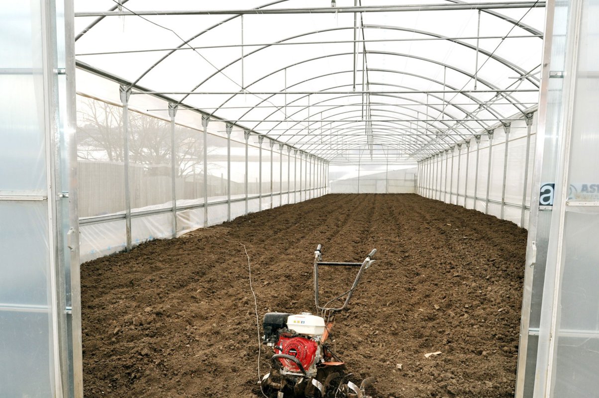 Măsuri de reformare a politicii agricole comune 331706