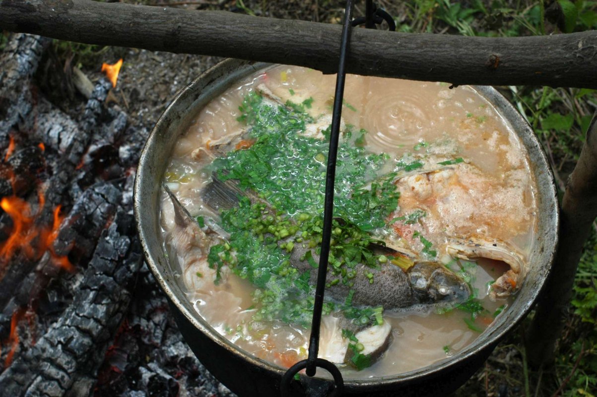 Festival al gastronomiei şi tradiţiilor pescăreşti 332878