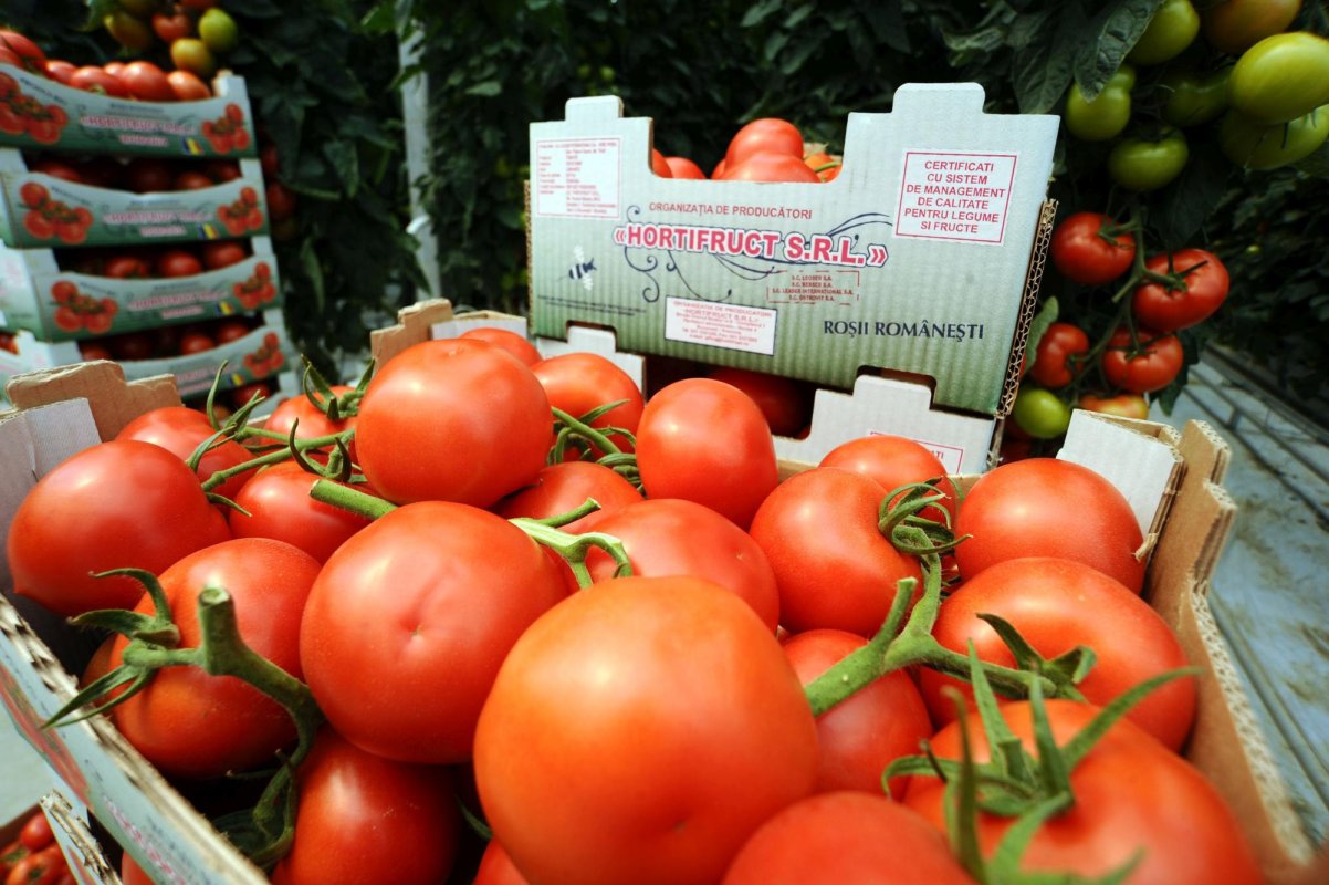 Tomatele din pieţe, verificate 333022