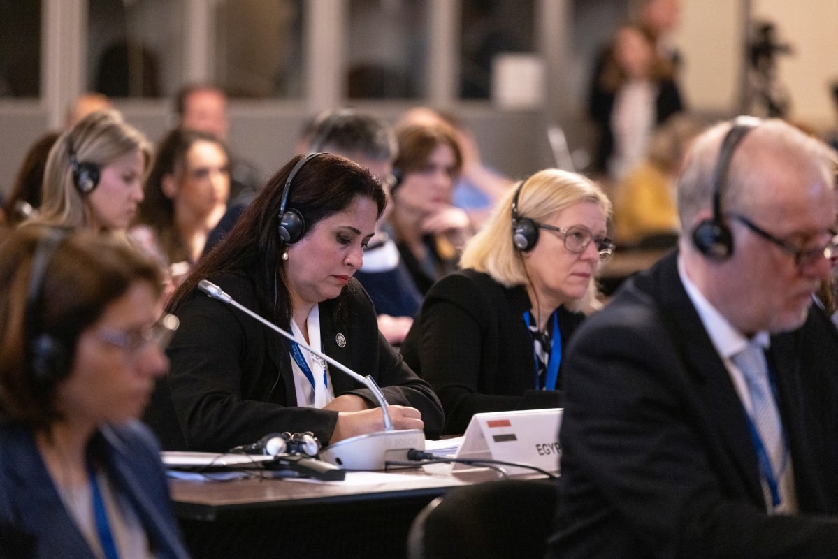 Întrunirea unei platforme parlamentare ortodoxe la București 333438