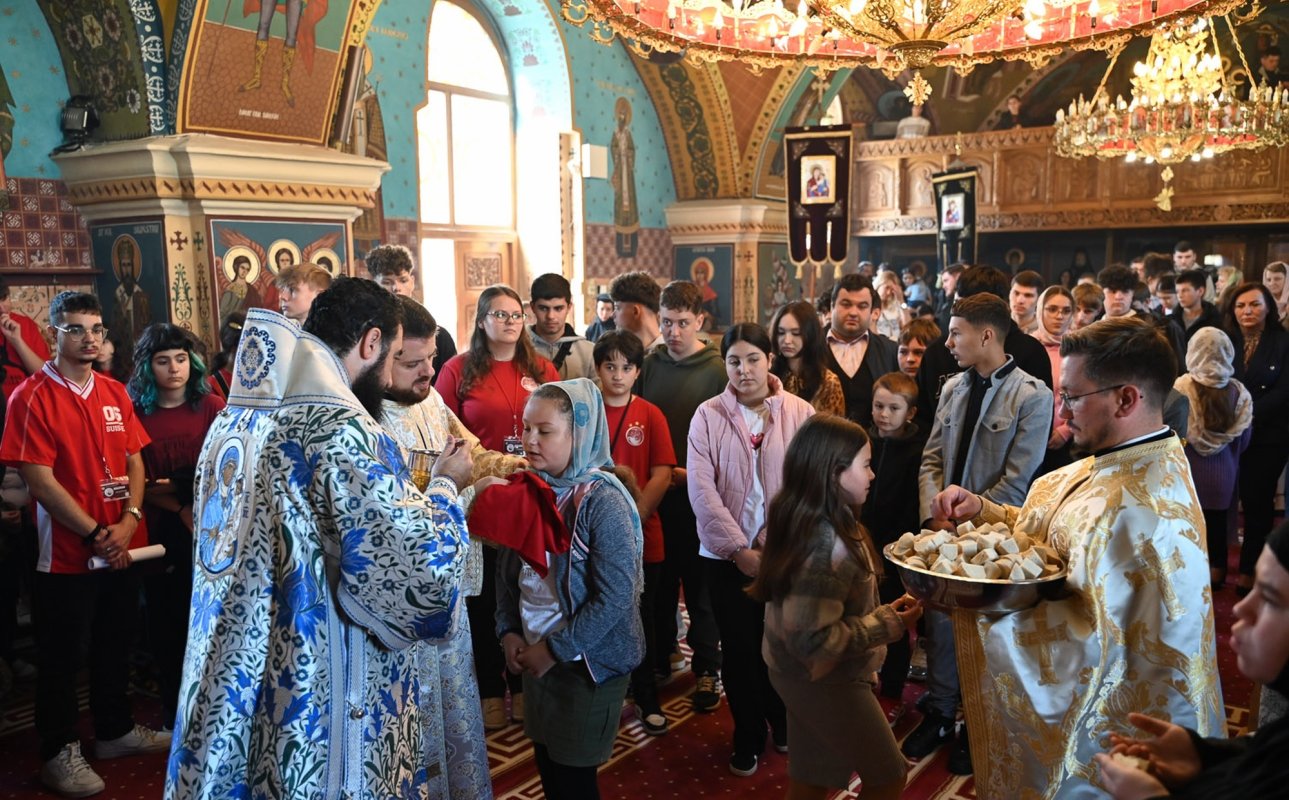 Întâlnirea tinerilor ortodocși din Episcopia Devei și Hunedoarei, la Haţeg 333619
