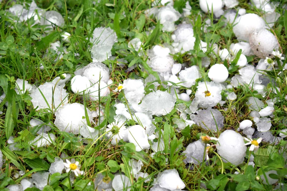 Vrancea: Episod de grindină care putea fi prevenit 333769