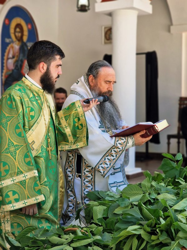 Praznicul Rusaliilor la mănăstirea teleormăneană Pantocrator 334137