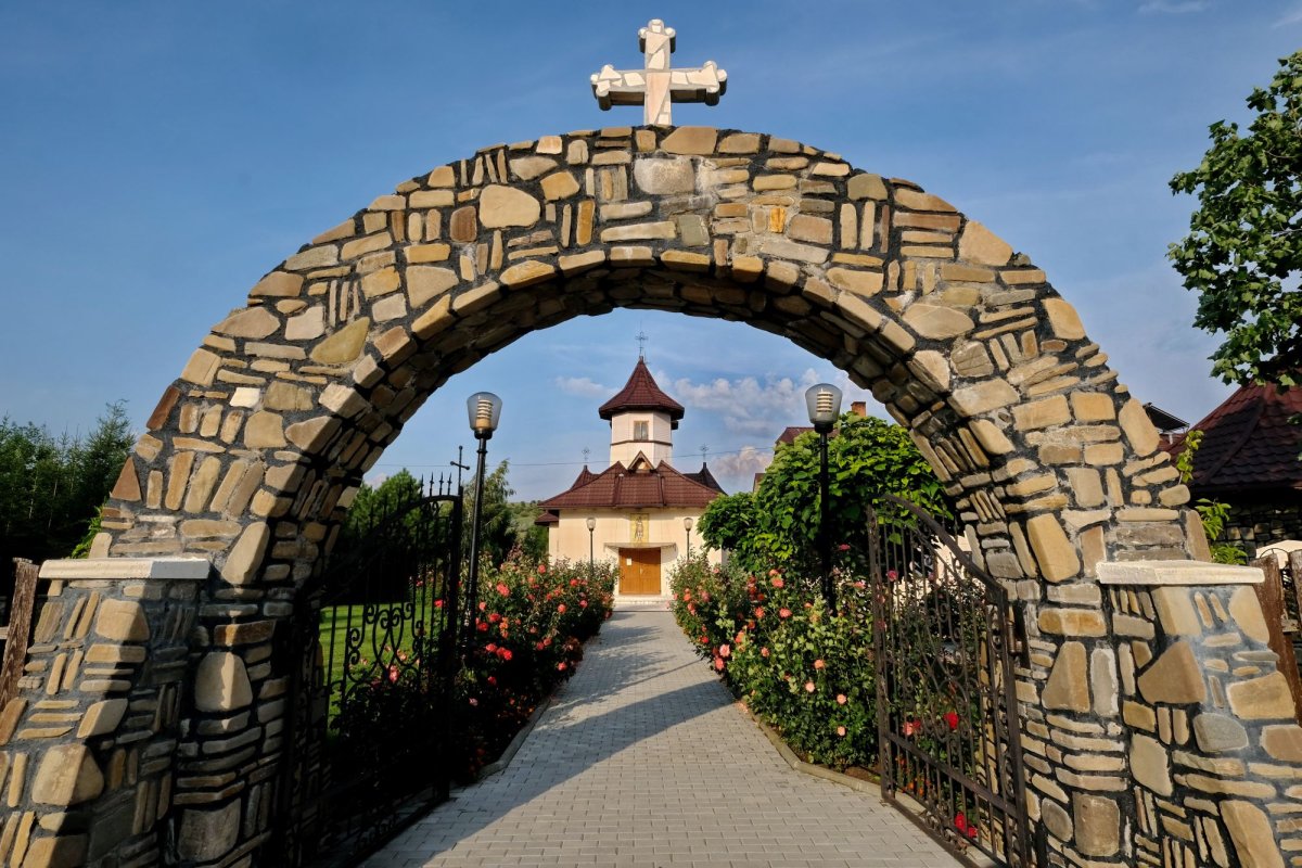 Calea vieții 168248