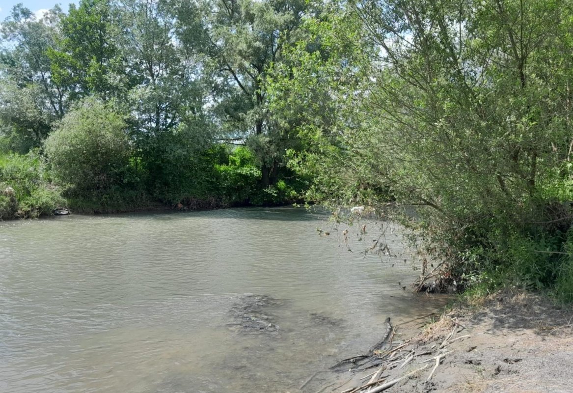 Salinitate ridicată în Târnava Mică 334779