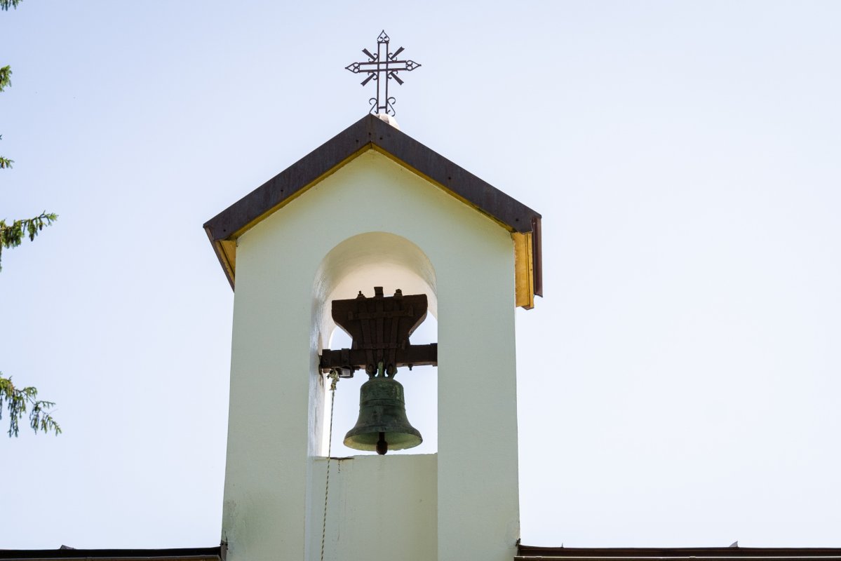 Sfinții români sărbătoriți la Mănăstirea Bucium 335232