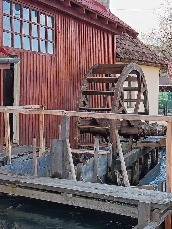 Restauratorul unei mori de apă, declarat Tezaur Uman Viu 335334