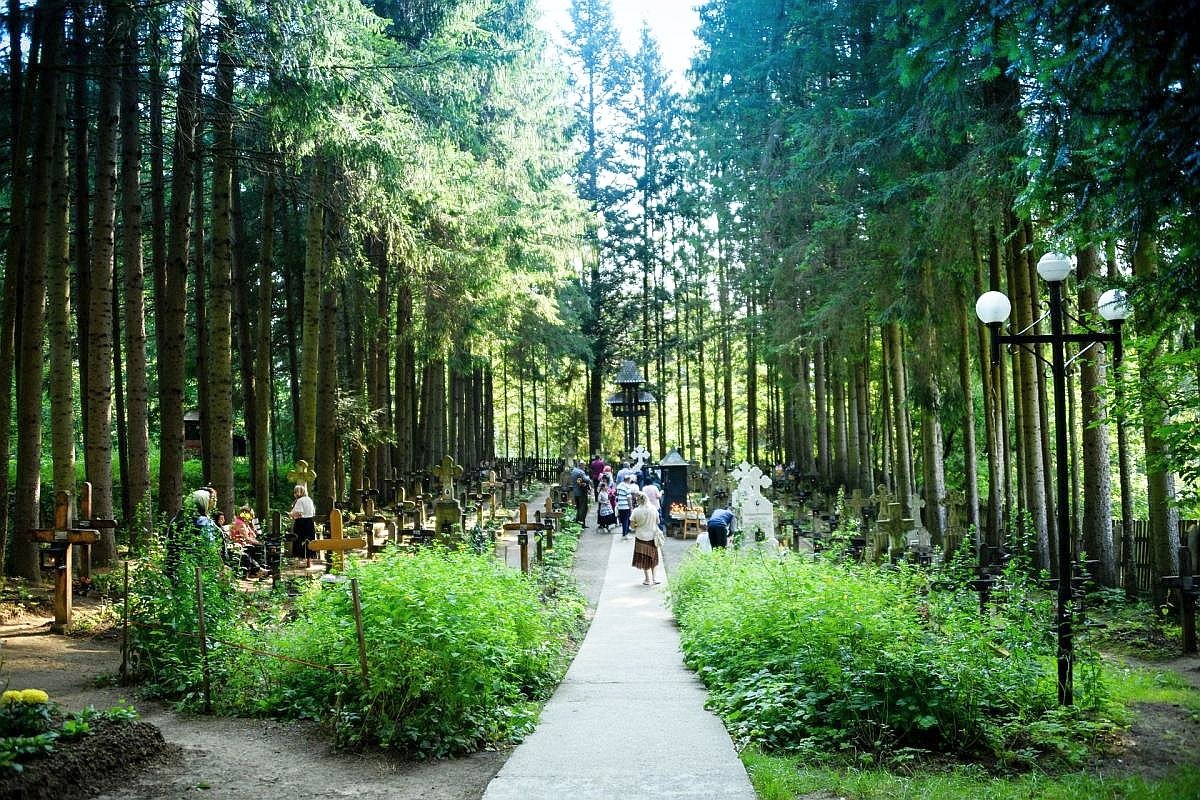 Romani 8, 2-13 259290