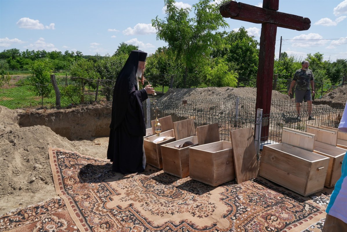 De la cununile mărturisitorilor la coronițele de sânziene ale copiilor 335559