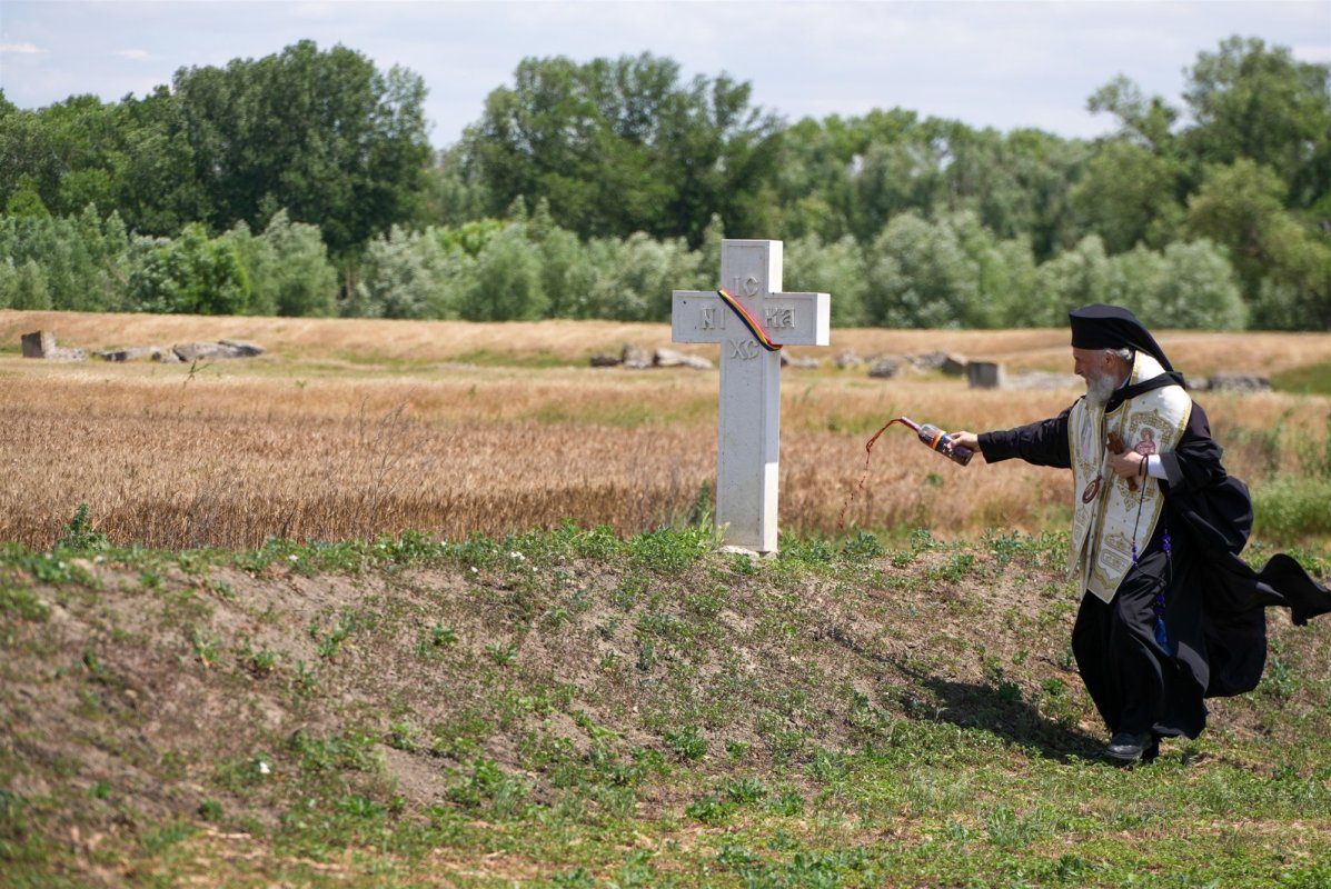 De la cununile mărturisitorilor la coronițele de sânziene ale copiilor 335561