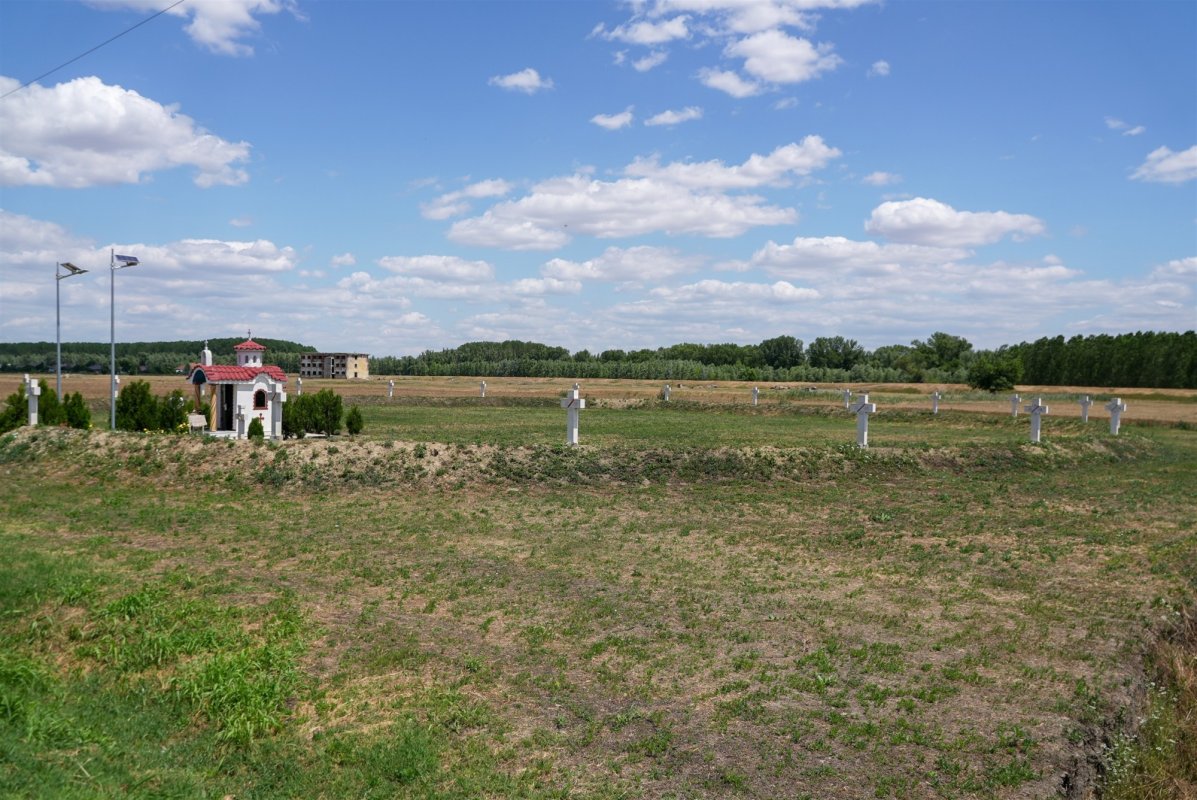 De la cununile mărturisitorilor la coronițele de sânziene ale copiilor 335562