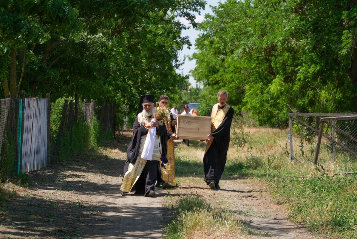 De la cununile mărturisitorilor la coronițele de sânziene ale copiilor 335563