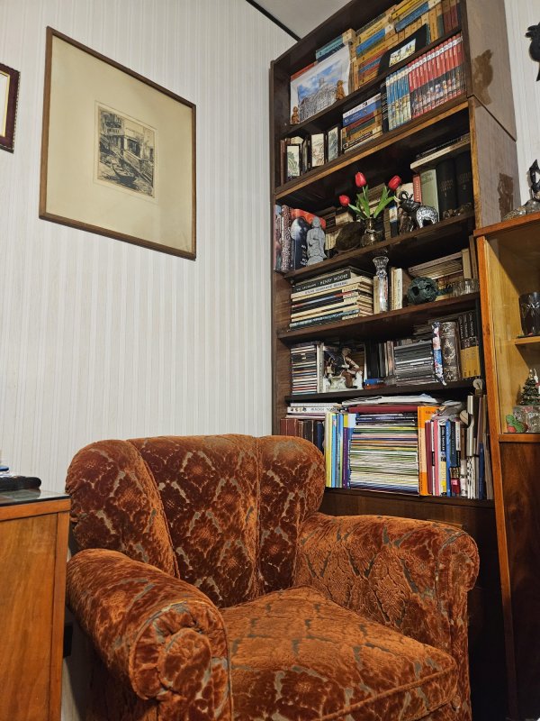 „S-a pierdut scopul principal al matematicii, acela de-a te învăța să gândești corect” 335699