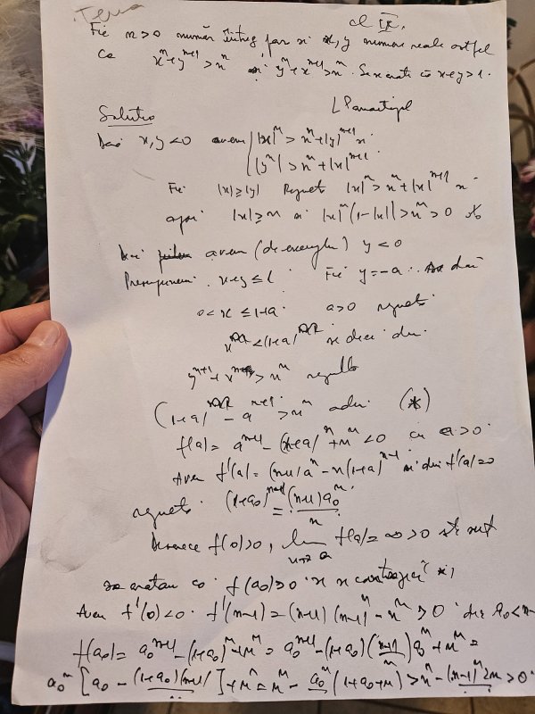 „S-a pierdut scopul principal al matematicii, acela de-a te învăța să gândești corect” 335701