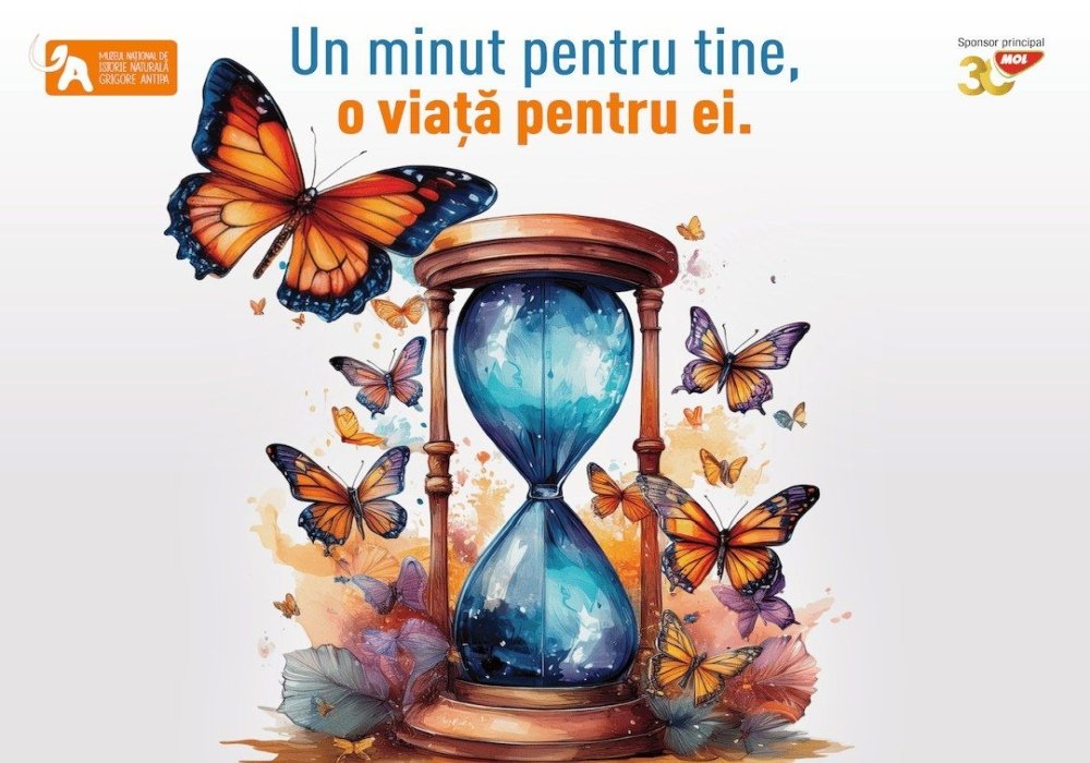 Fluturii de la Muzeul Antipa 336376