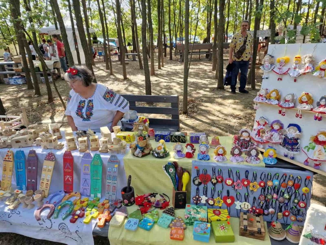 Tradiții și viață autentică  la „Mutat la Țară Fest” 336440