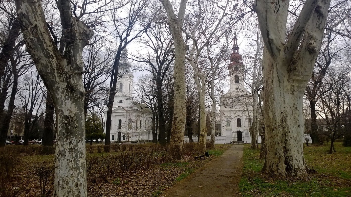Români din Serbia. Mărturii din Alibunar 336580