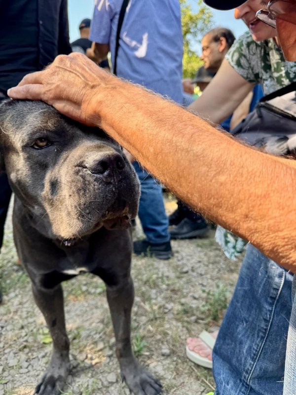Activitate terapeutică la Cantina socială „Sfânta Filofteia” din Capitală 336995