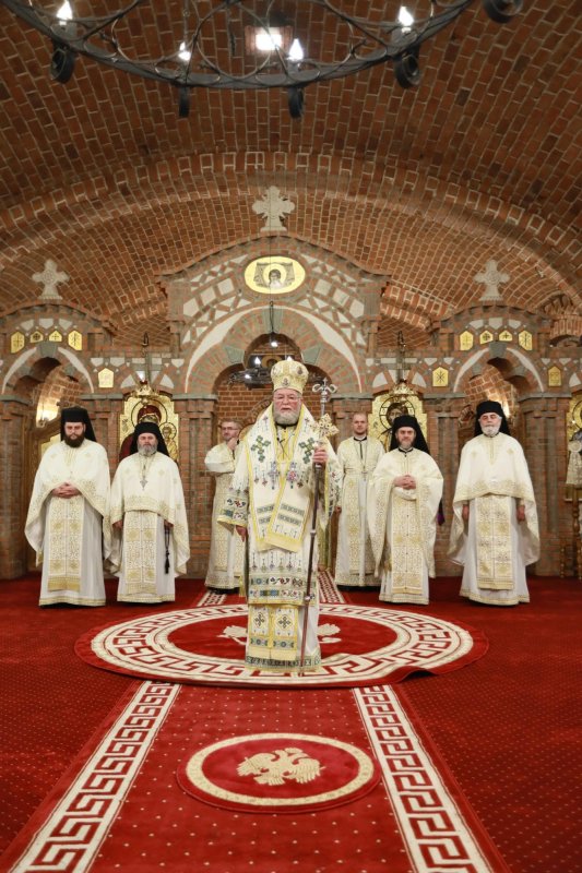 Oaspeți din SUA în Baia Mare 336970