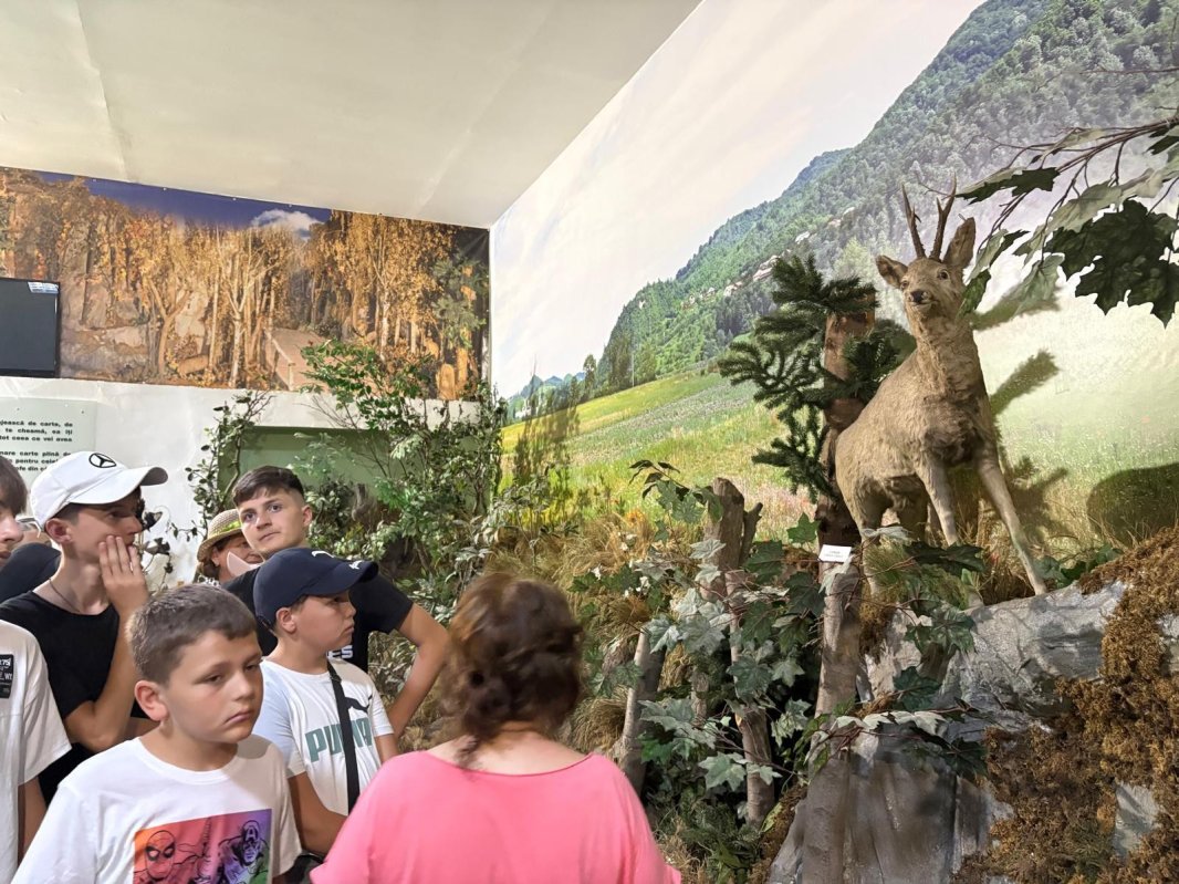 Tabere gratuite pentru copii defavorizați în Protoieria Vălenii de Munte 337203