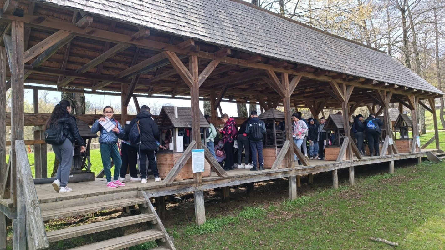 Noi activităţi organizate Asociația Filantropia Ortodoxă Sibiu 337292