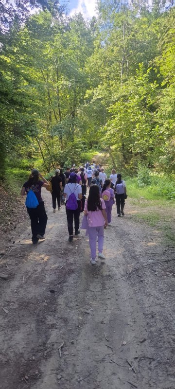 Tabăra internaţională la Sâmbăta de Sus, judeţul Braşov 337587