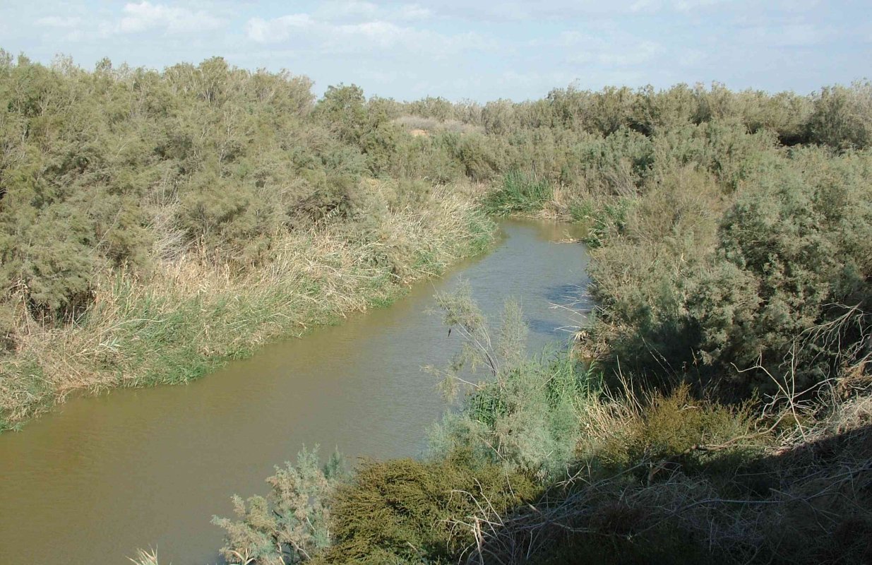 Lupta cu gândurile 337671