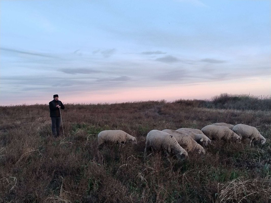 „Aici mi-a rânduit Domnul slujirea și aici o împlinesc cu bucurie” 337259