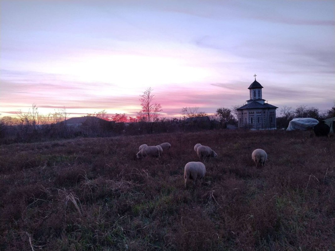„Aici mi-a rânduit Domnul slujirea și aici o împlinesc cu bucurie” 337262