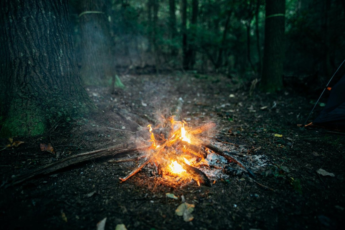 Oamenii foloseau intensiv focul încă de acum 50.000 de ani 337861