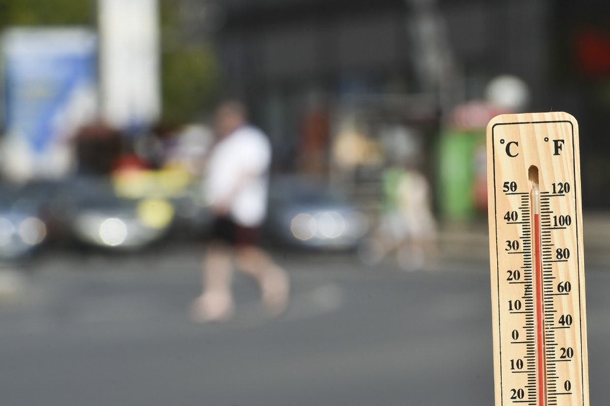 Orașele au devenit „insule betonate de căldură” 337923