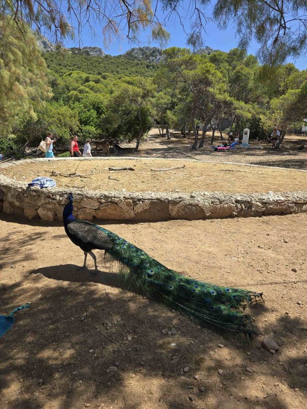 Între rugăciune și mare: ritmul blând al Eghinei 337817