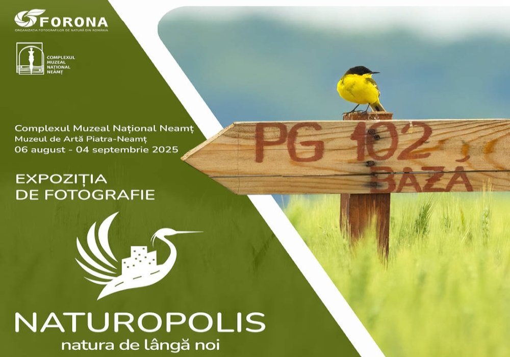 Expoziție de fotografie de natură la Piatra Neamț 338499
