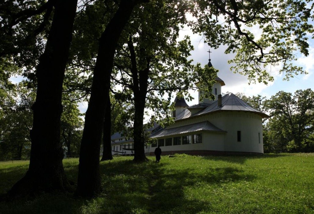 Părintele Elefterie Păduraru: „Părintele Daniil a avut o trăire de sfânt” 338494