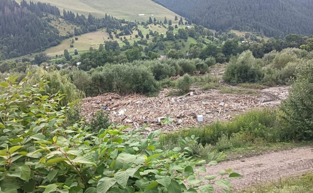 Stare de alertă în Borca, Neamț 338503