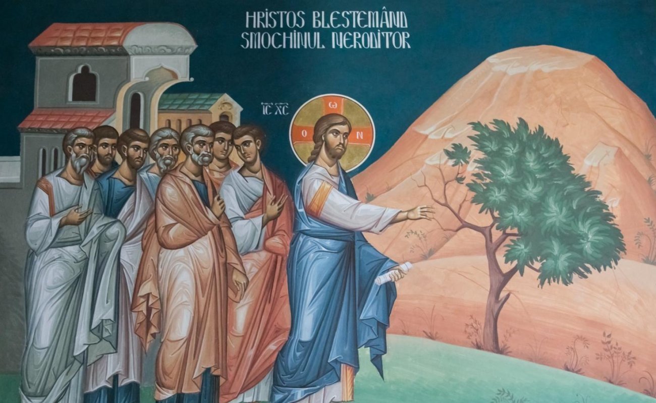 ...Cei neroditori 338787