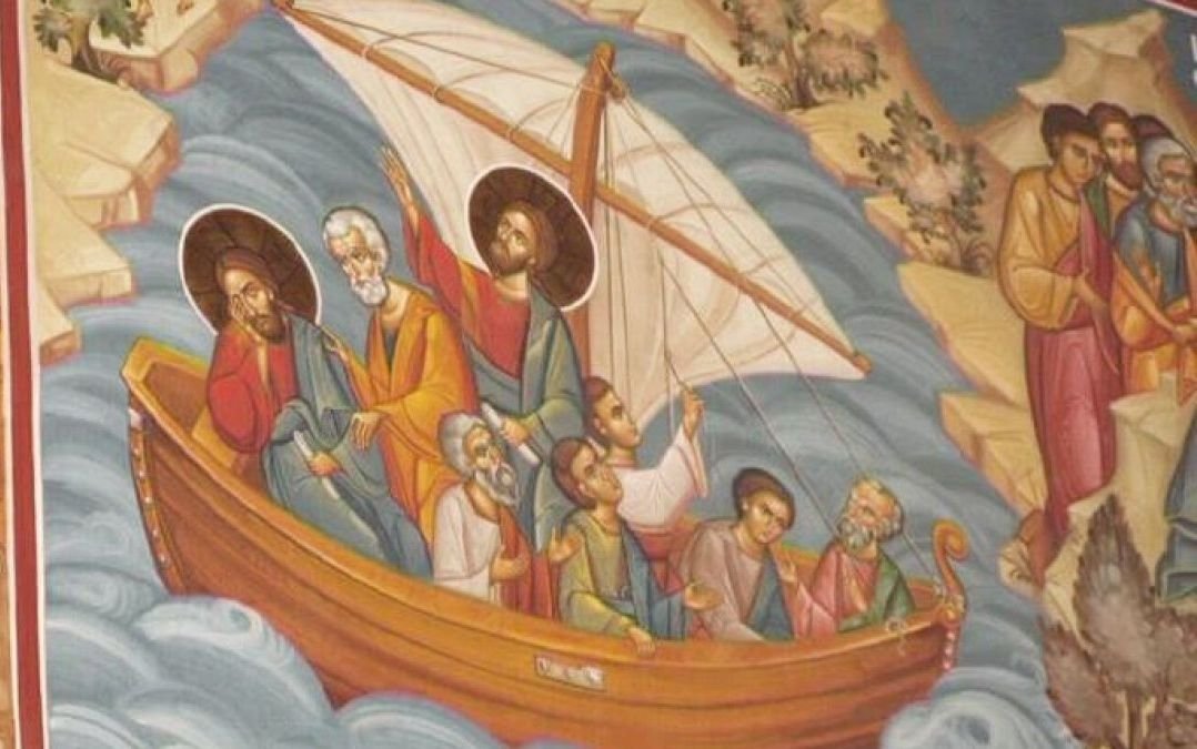 Marea vieții 267683